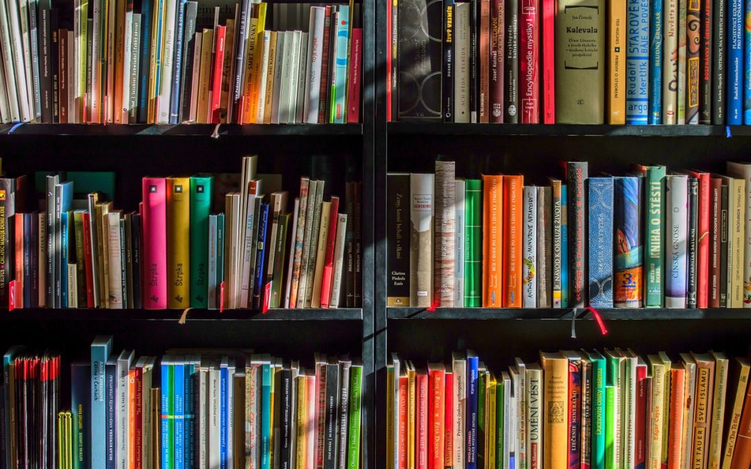 Success Story: Infor Cleanup & Support @ Public School System