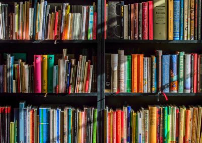 Success Story: Infor Cleanup & Support @ Public School System