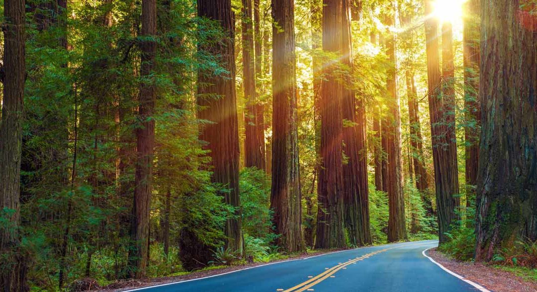 Success Story: Infor v10 Upgrade @ Seasons Hospice