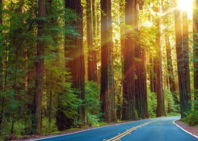 Success Story: Infor v10 Upgrade @ Seasons Hospice