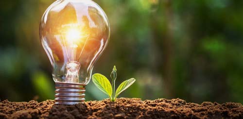 Knowledge Insights - Lightbulb Growth